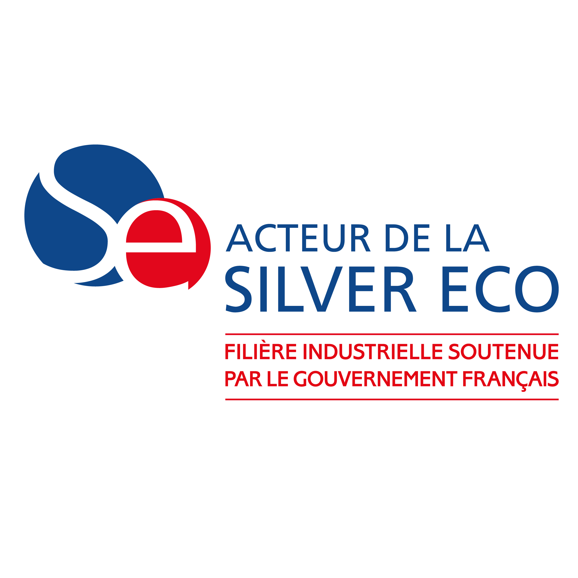 Logo silver économie